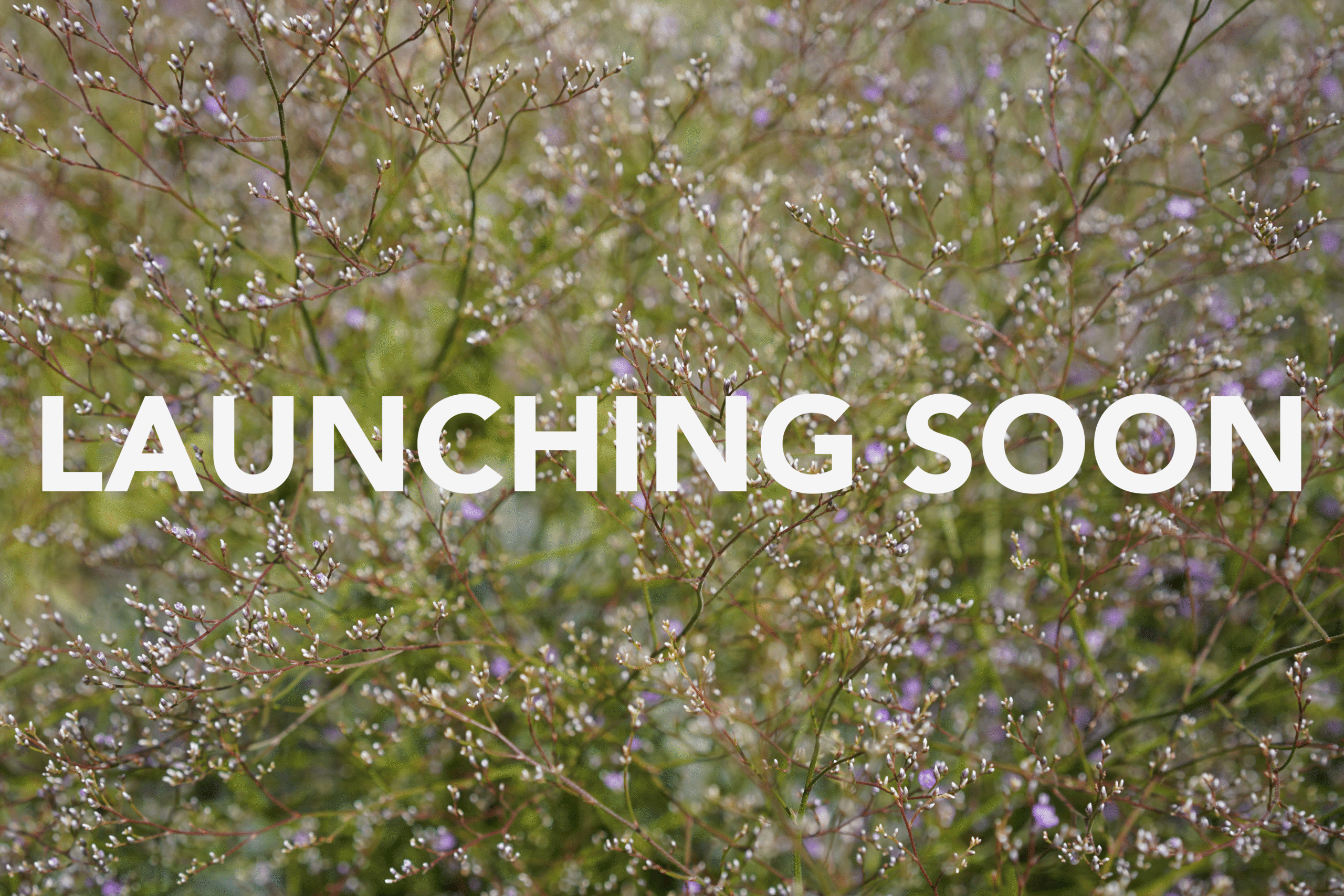Coming-Soon